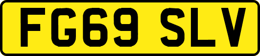 FG69SLV