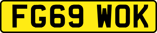 FG69WOK