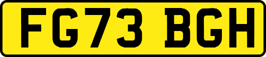 FG73BGH