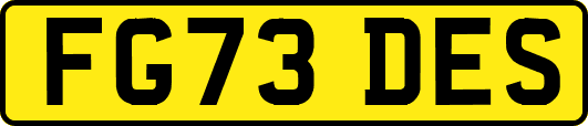 FG73DES