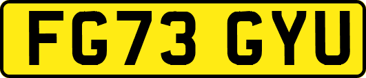 FG73GYU