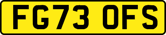 FG73OFS