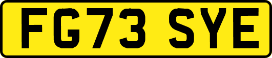 FG73SYE