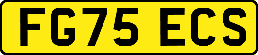 FG75ECS