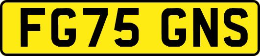 FG75GNS