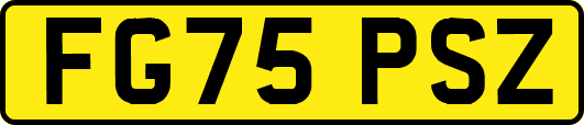 FG75PSZ
