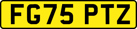 FG75PTZ