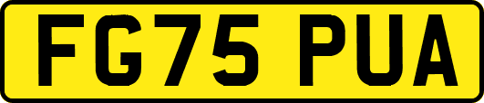 FG75PUA