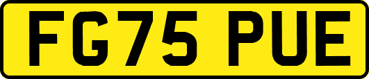 FG75PUE