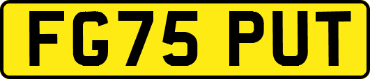 FG75PUT