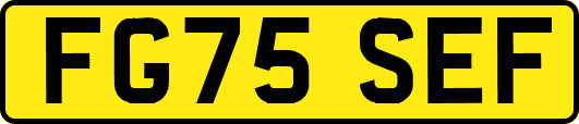 FG75SEF
