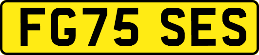 FG75SES
