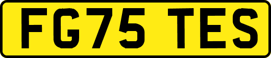 FG75TES