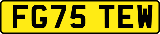 FG75TEW