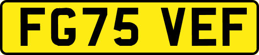 FG75VEF