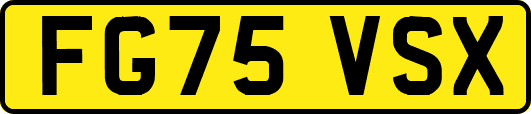 FG75VSX