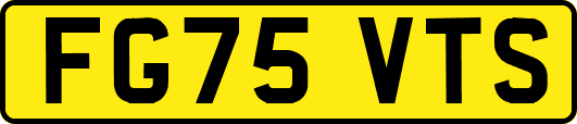 FG75VTS