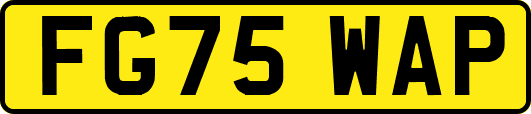 FG75WAP