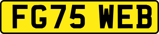 FG75WEB