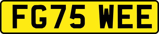 FG75WEE