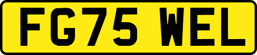 FG75WEL