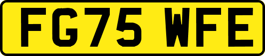 FG75WFE
