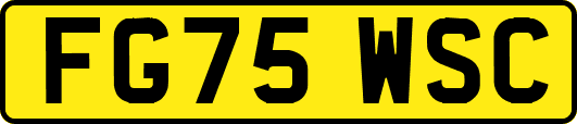 FG75WSC