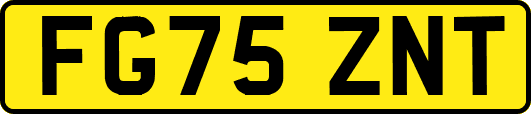 FG75ZNT