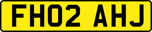 FH02AHJ