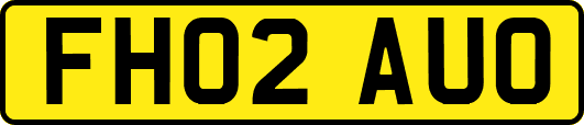 FH02AUO