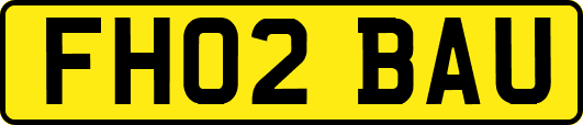 FH02BAU