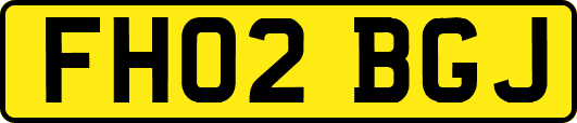FH02BGJ