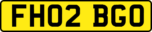 FH02BGO