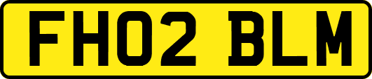 FH02BLM