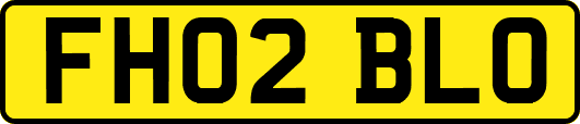 FH02BLO