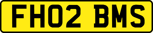 FH02BMS