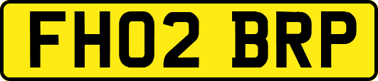 FH02BRP