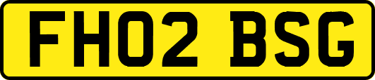 FH02BSG