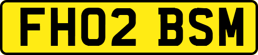 FH02BSM