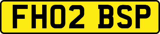 FH02BSP