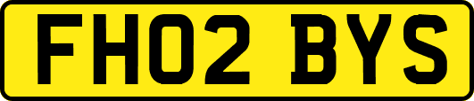 FH02BYS