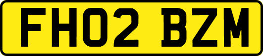 FH02BZM