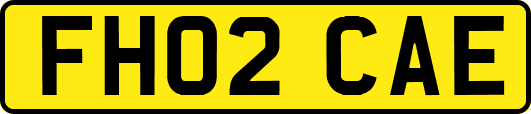 FH02CAE