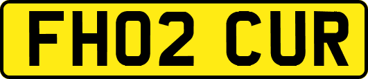 FH02CUR