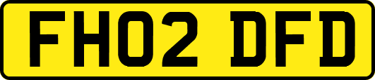 FH02DFD