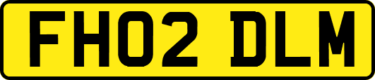 FH02DLM