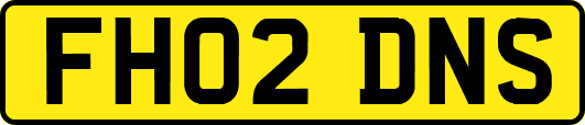 FH02DNS