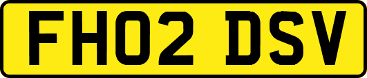 FH02DSV