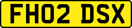 FH02DSX
