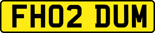 FH02DUM